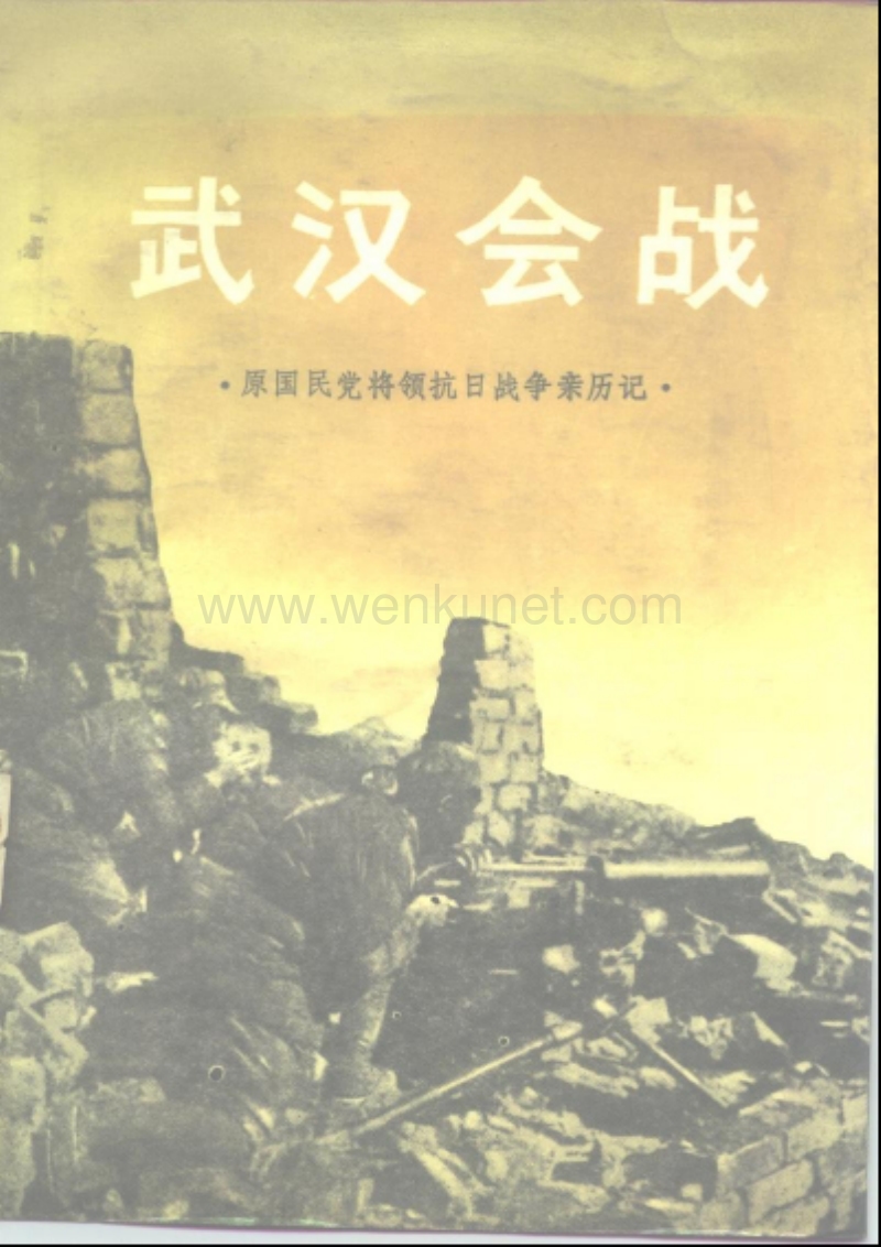 国军将领抗日战争亲历记：武汉会战.pdf_第1页