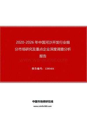 2020年中国河沙开发行业细分市场研究及重点企业深度调查分析报告.docx