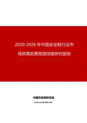 2020年中国安全鞋行业市场供需前景预测深度研究报告.docx