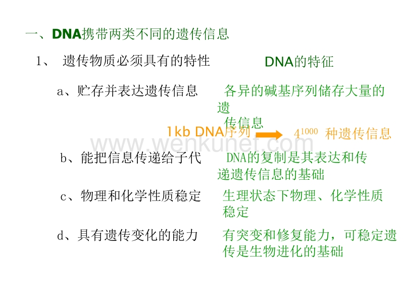 第二次课 第二章 DNA结构和染色体.ppt_第3页