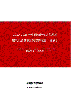 2020年中国前毂市场发展战略及投资前景预测咨询报告.docx