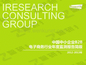 2012-2013年中国中小企业B2B电子商务行业年度监测报告简版.pdf