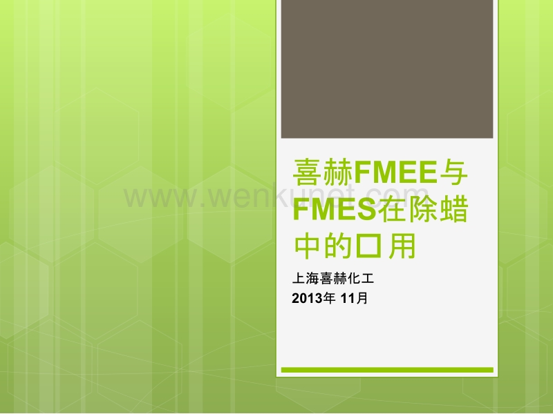 喜赫FMEE与FMES在除蜡中的应用.pptx_第1页