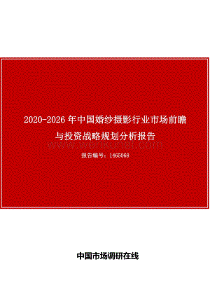 中国婚纱摄影行业市场前瞻与投资战略规划分析报告.docx