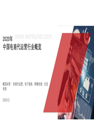 中国电商代运营行业概览.pdf