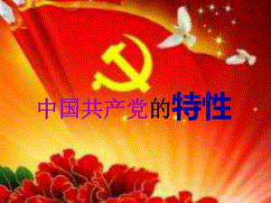 中国共产党特性最简洁版党团建设党团工作实用文档.pdf