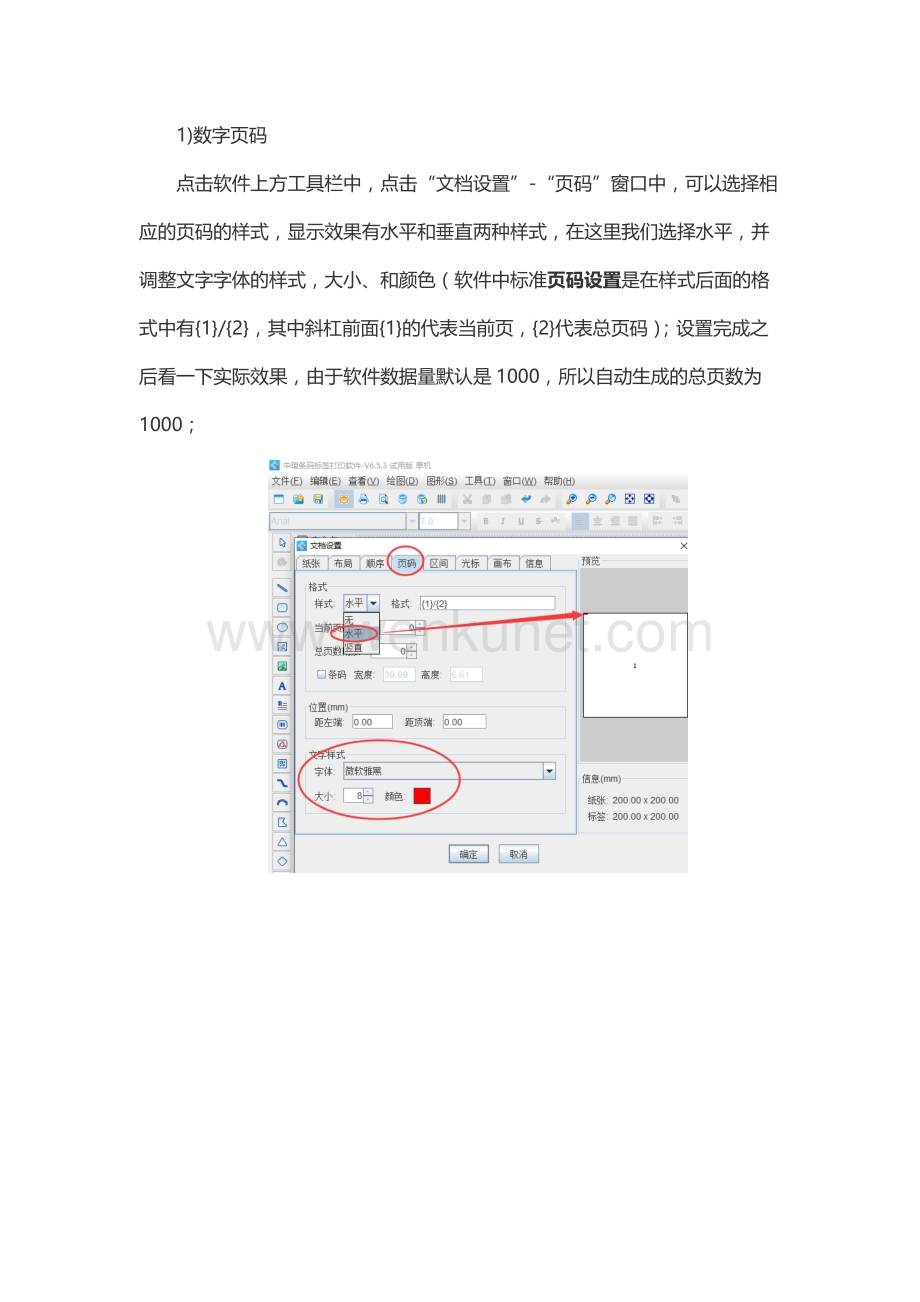 条码标签批量打印软件中如何设置页码及页码效果.docx_第2页