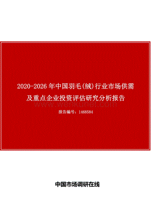 中国羽毛(绒)行业市场供需及重点企业投资评估研究分析报告.docx