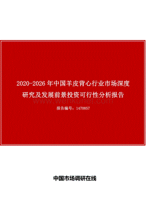 中国羊皮背心行业市场深度研究及发展前景投资可行性分析报告.docx