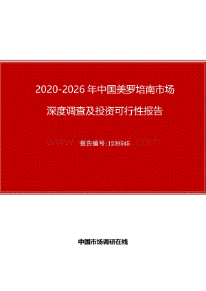 中国美罗培南市场深度调查及投资可行性报告.docx
