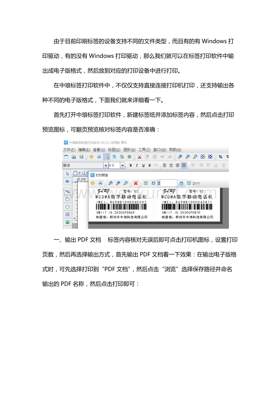 标签打印软件如何输出电子版格式.docx_第1页