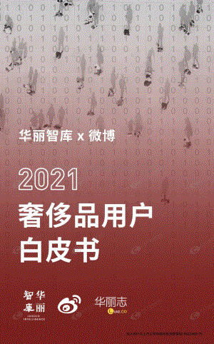 2021奢侈品用户白皮书【并购达人严选】.pdf.pdf