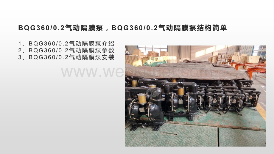 BQG3600.2气动隔膜泵BQG3600.2气动隔膜泵结构简单.pptx_第2页