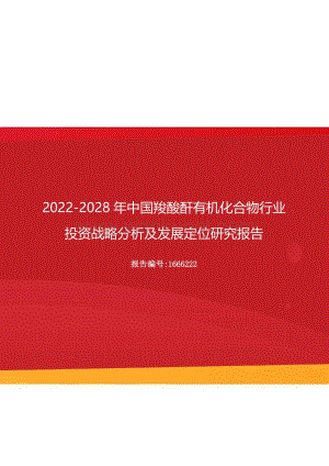 2022年中国羧酸酐有机化合物行业投资战略分析及发展定位研究报告（更新版）.docx