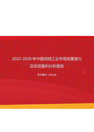 2022年中国羽绒工业市场发展潜力及投资盈利分析报告（更新版）.docx