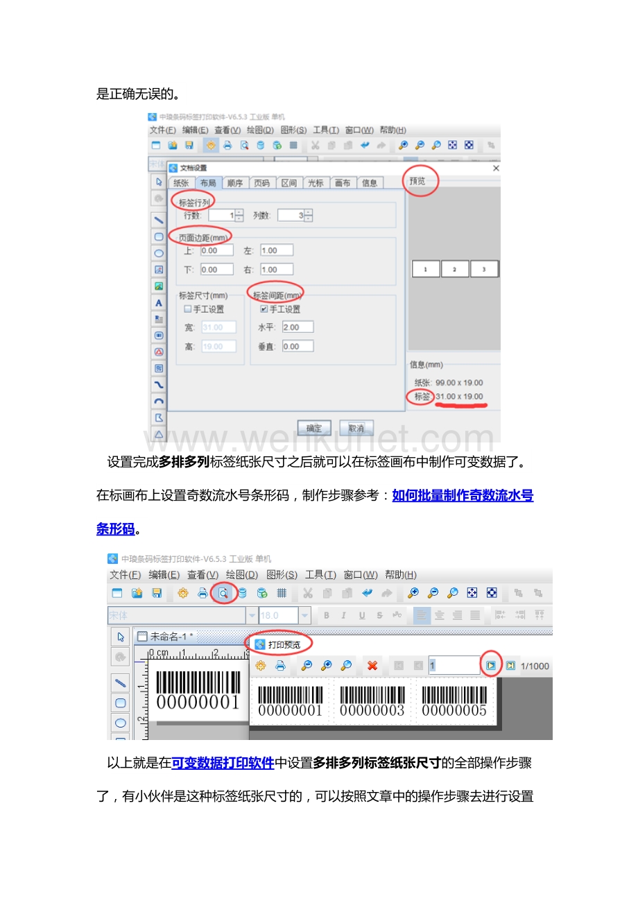 可变数据打印软件如何设置多排多列标签尺寸.docx_第3页