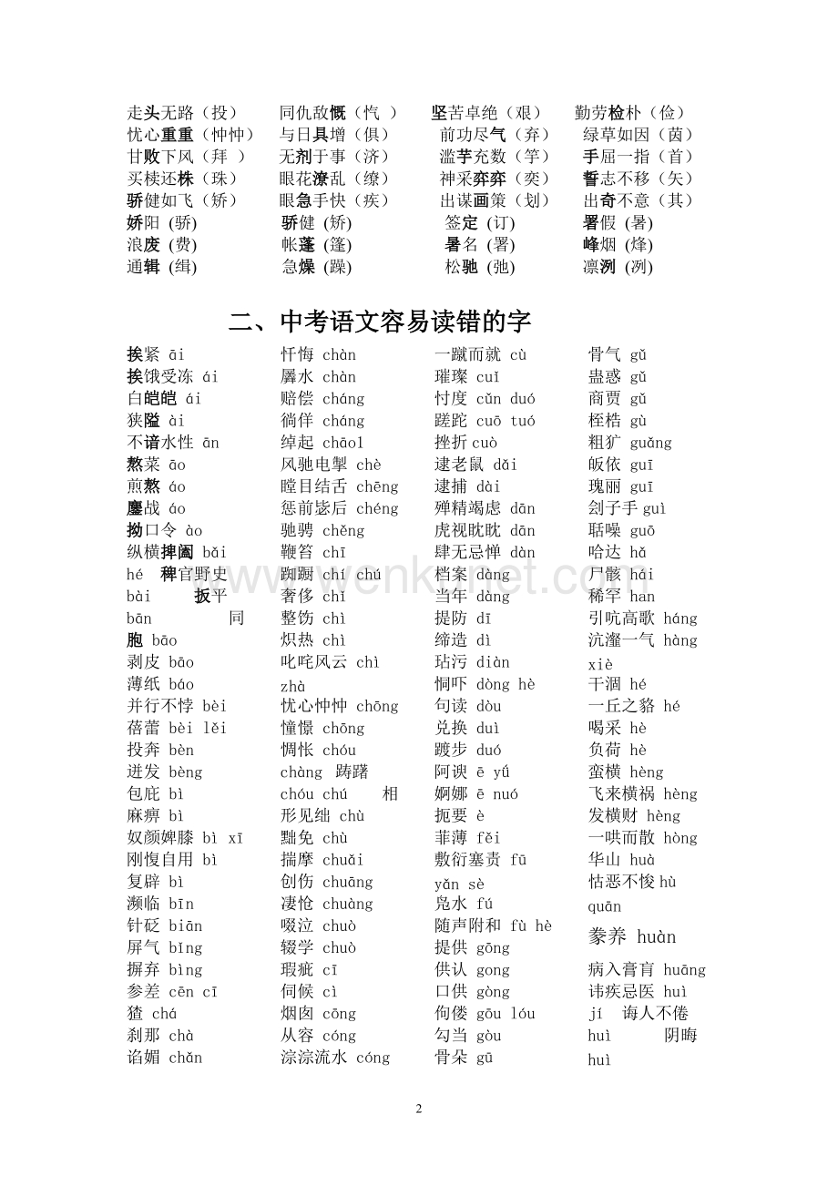 中考语文总复习资料全集.doc_第2页