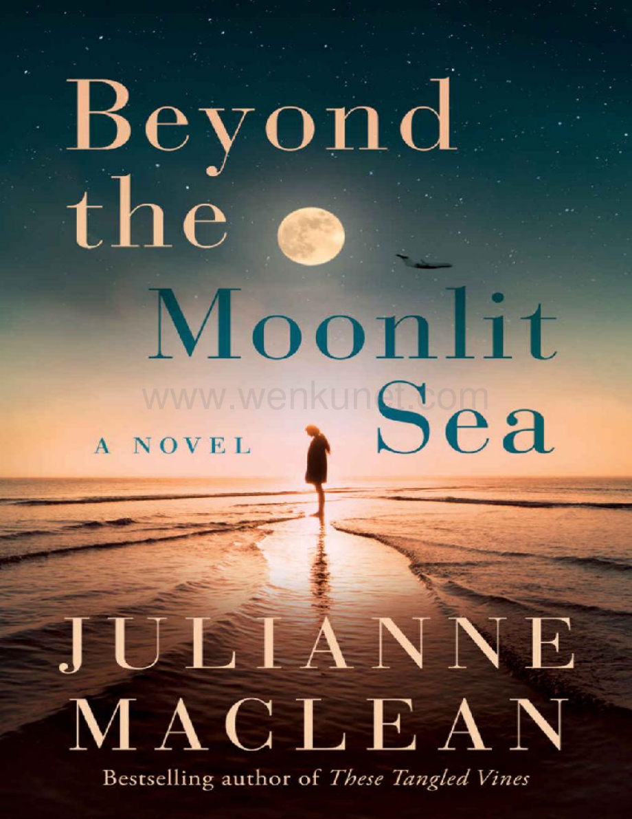 Beyond the Moonlit Sea A Novel (Julianne MacLean) (z-lib.org).pdf_第1页