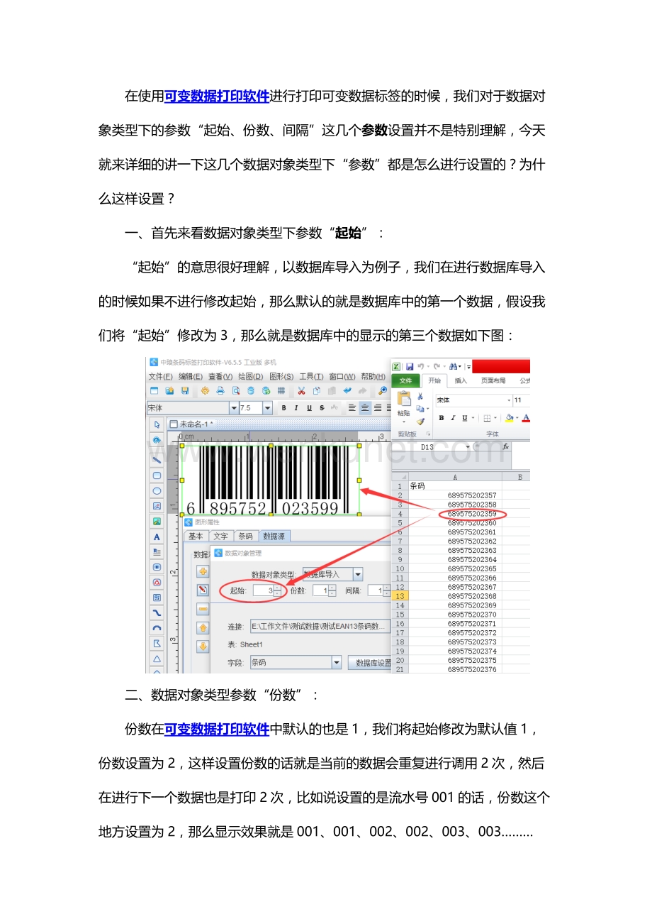 可变数据打印软件数据对象类型参数详解.docx_第1页