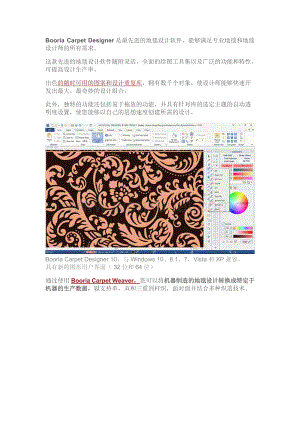 纺织绣花-EFAB GmbH eDesigner地毯设计CAD CAM软件.docx
