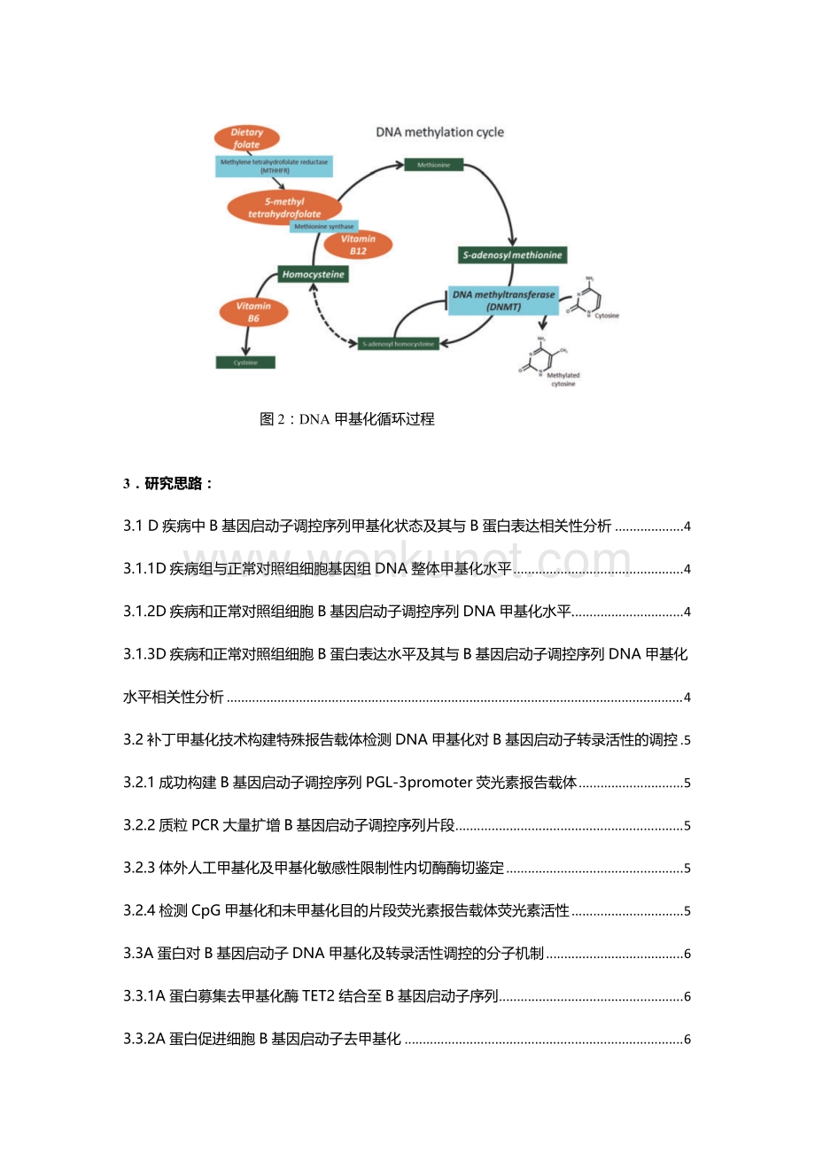 8、DNA（羟）甲基化.docx_第3页