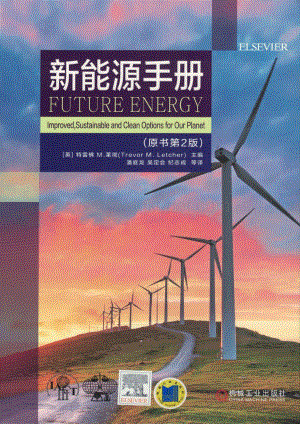 新能源手册（原书第2版）.pdf