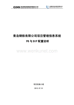 青岛钢铁有限公司项目管理系统项目_P6报表配置文档..pdf