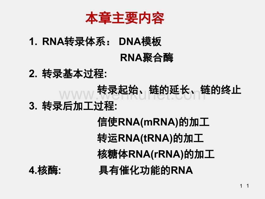 《医学生物化学》课件第11章-RNA的生物合成.ppt_第1页