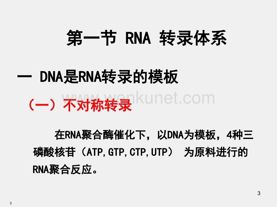 《医学生物化学》课件第11章-RNA的生物合成.ppt_第3页