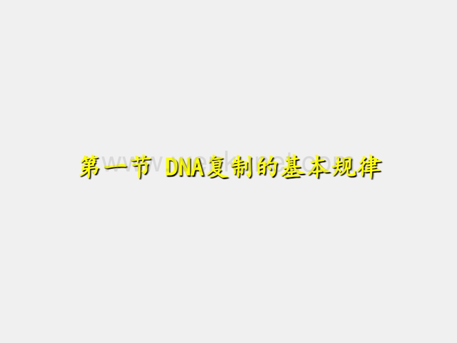 《医学生物化学》课件第10章-DNA的生物合成.ppt_第3页