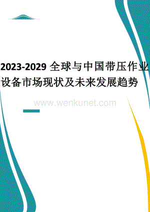 2023-2029全球与中国带压作业设备市场现状及未来发展趋势.docx