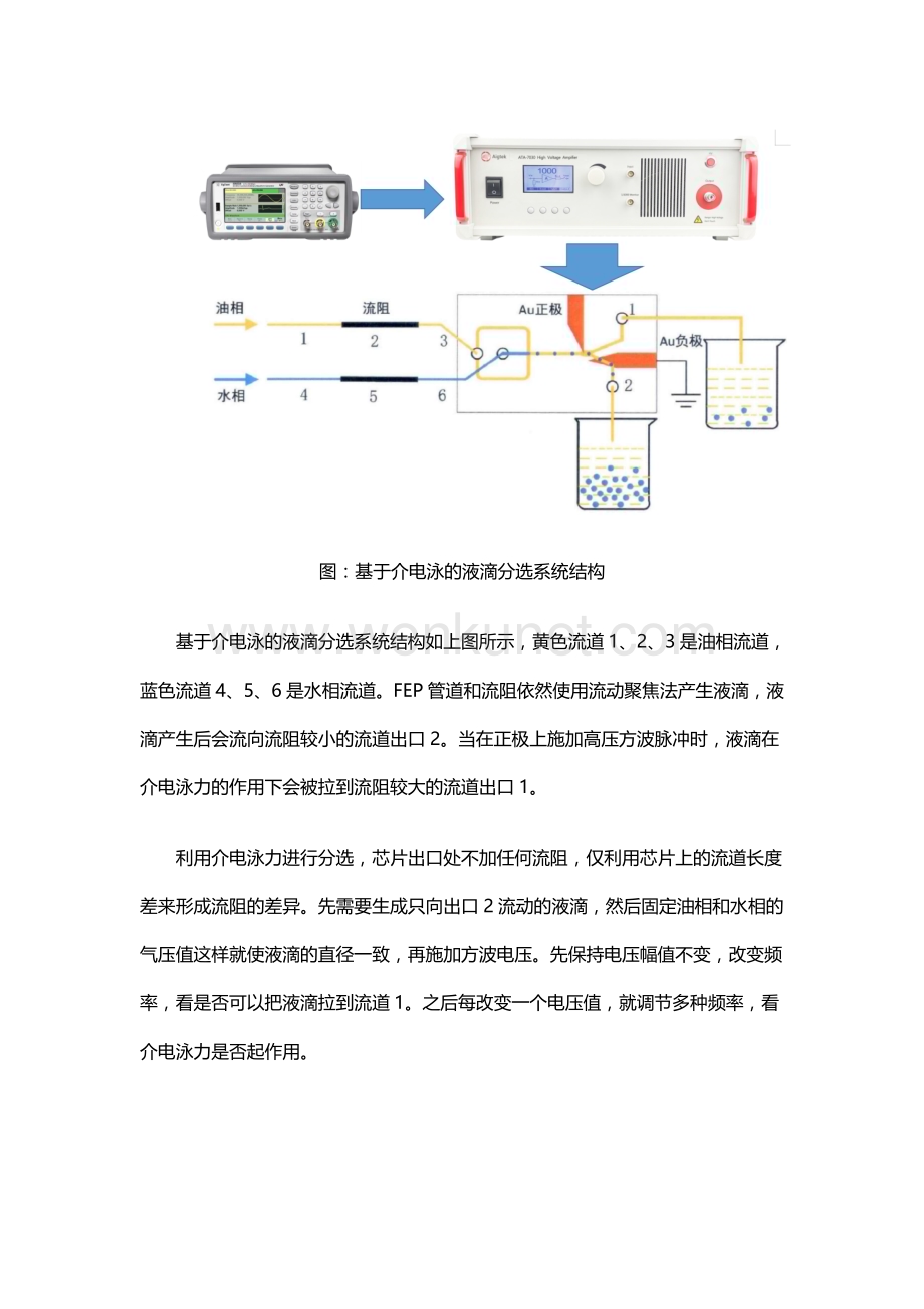 ATA-7000系列高压放大器在介电实验中的典型应用.doc_第3页