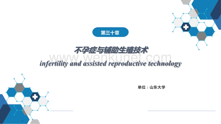 妇产科课件第三十章 不孕症与辅助生殖技术PPT.pptx_第1页