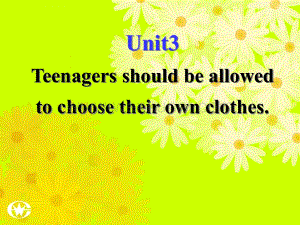人教版九年级英语unit3 Teenagers should be allowed to choose their own clothes.ppt