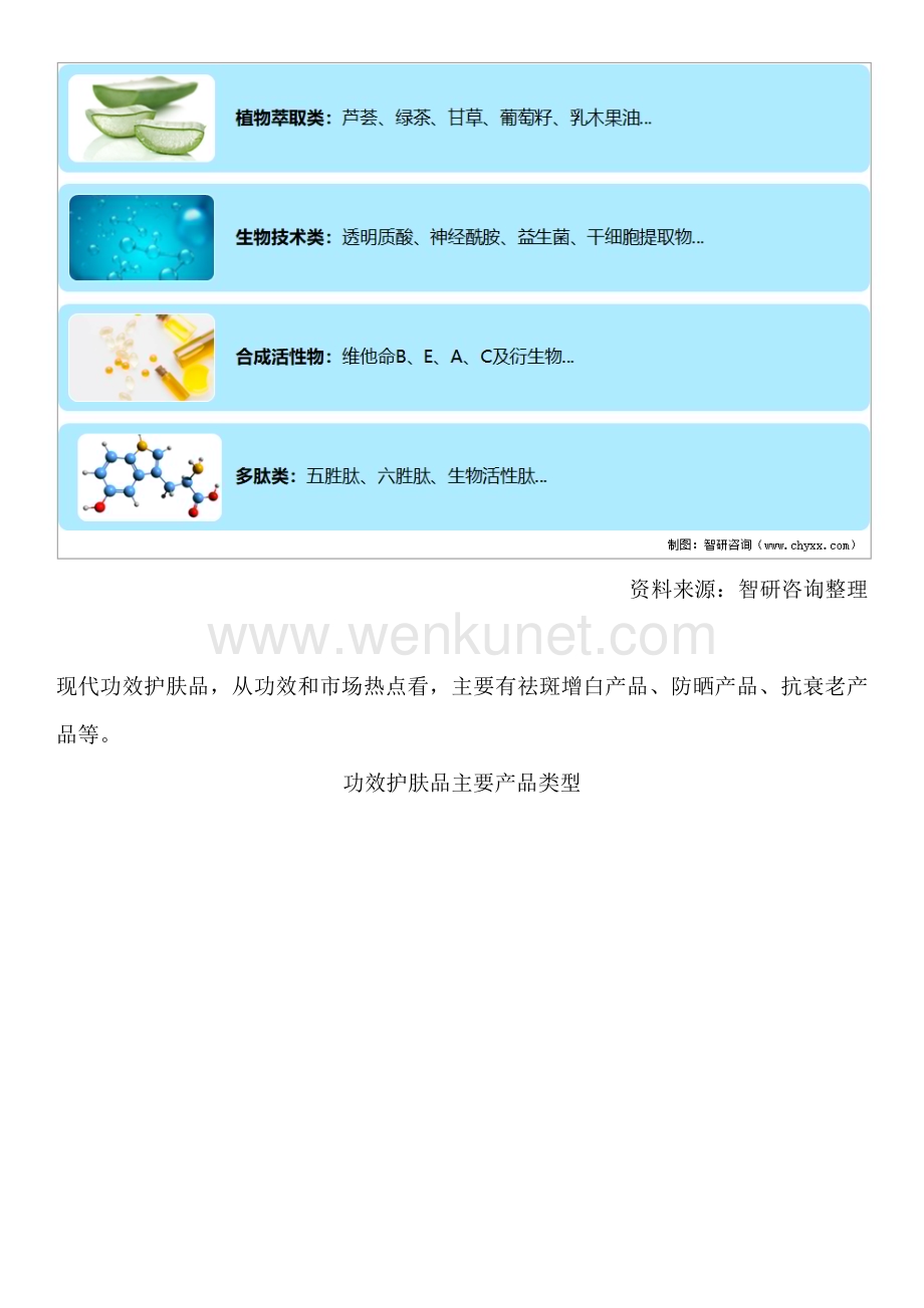 重磅！中国功效护肤品行业发展前景及市场空间预测报告（智研咨询）.docx_第2页
