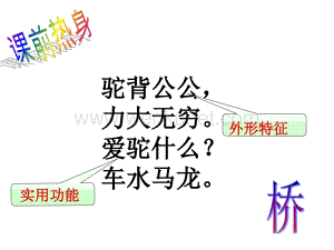 《中国石拱桥》公开课课件1（新人教版初中语文八年级上册）.pptx