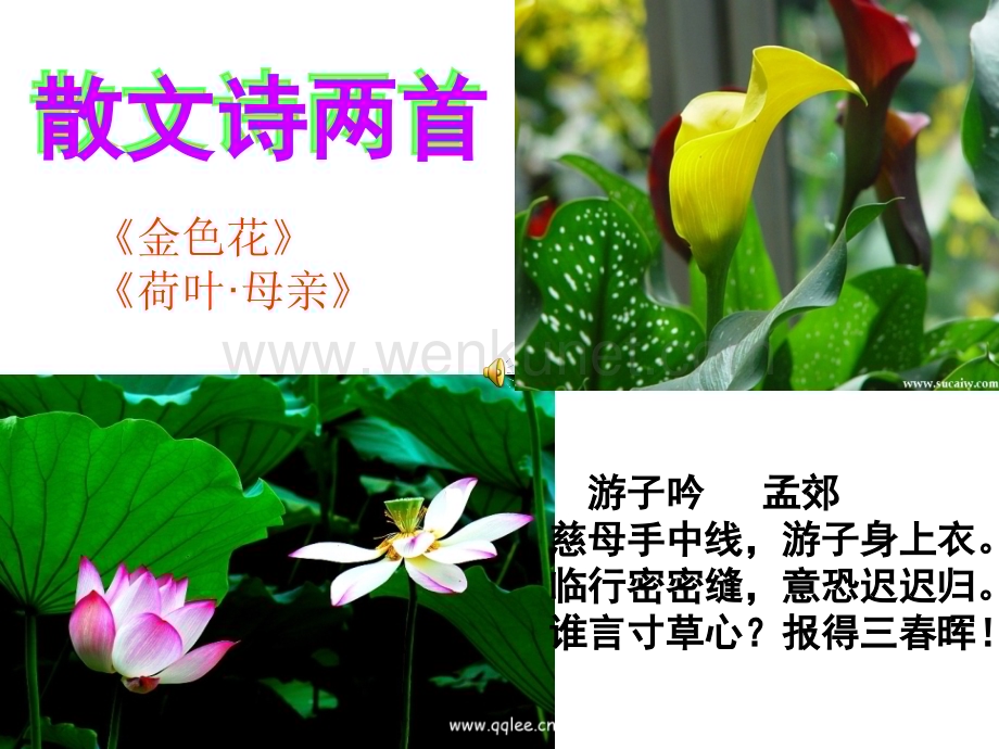 《散文诗两首》教学PPT课件初中语文.ppt_第2页