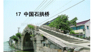17 中国石拱桥（教学PPT课件部编人教版八年级语文上册）.ppt