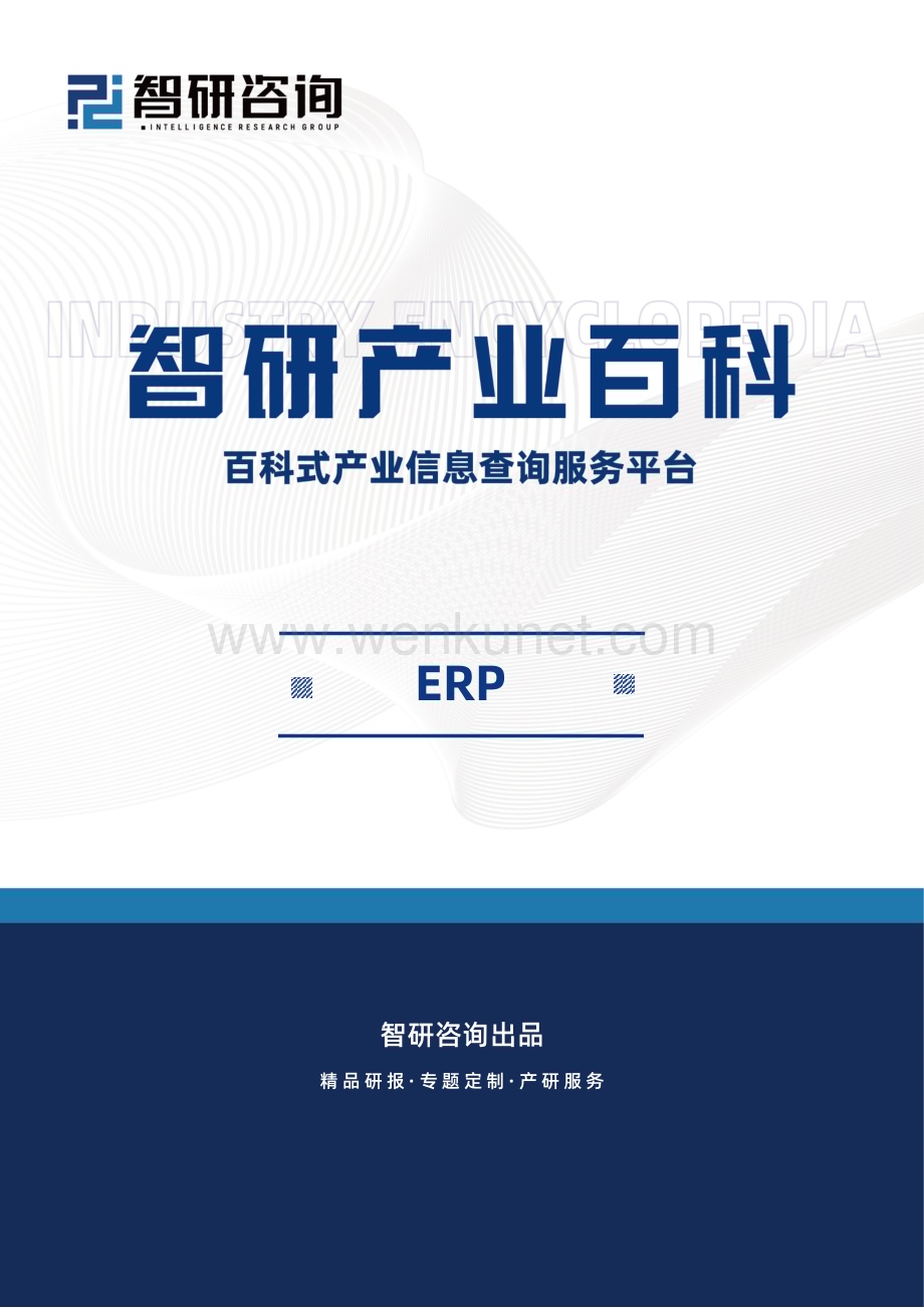 智研咨询发布：ERP产业百科（附行业现状、相关政策及发展驱动因素分析）.pdf_第1页