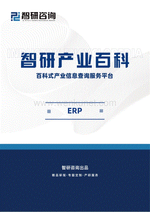 智研咨询发布：ERP产业百科（附行业现状、相关政策及发展驱动因素分析）.pdf