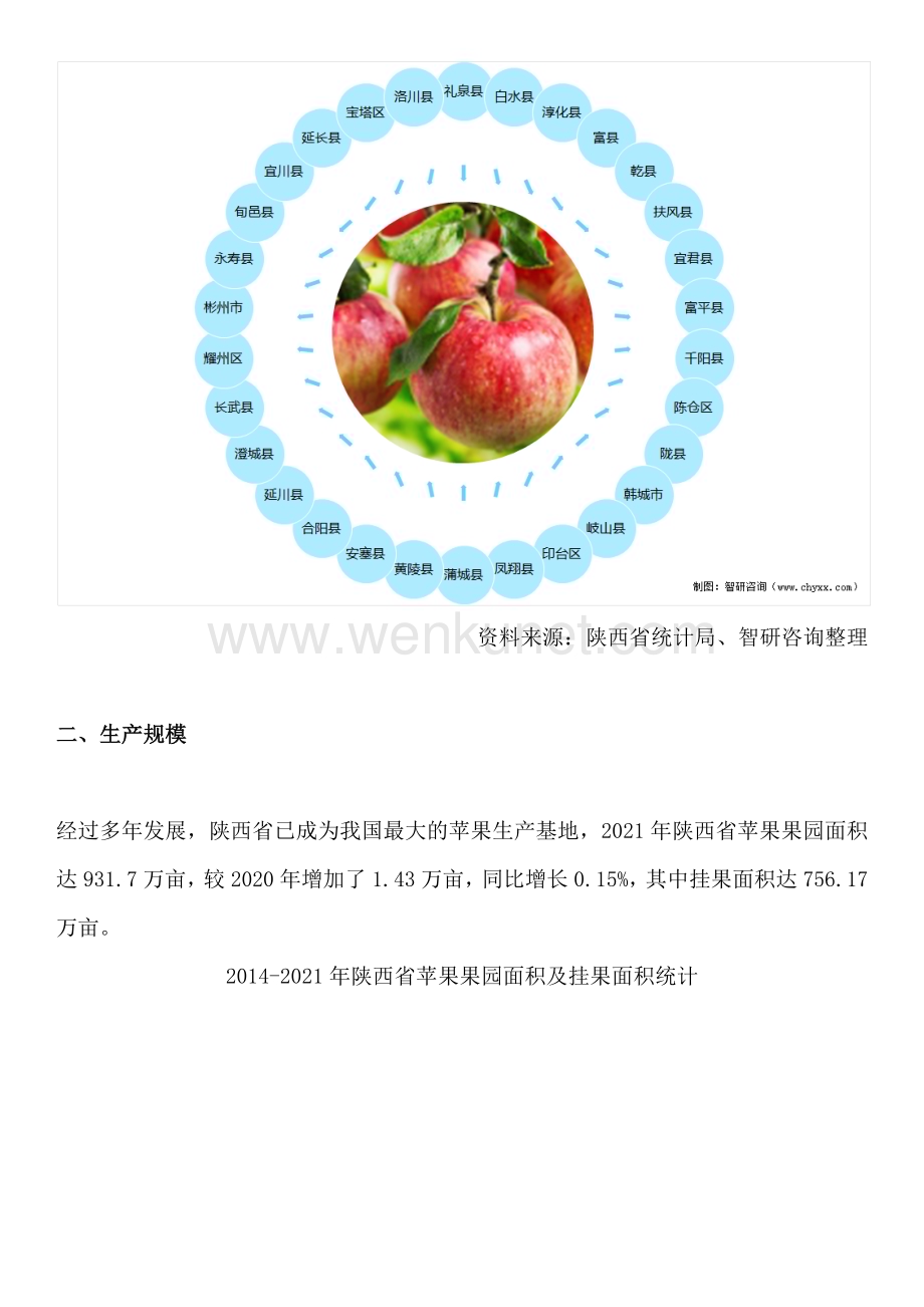 中国陕西苹果行业市场发展前景研究报告—智研咨询发布.docx_第2页