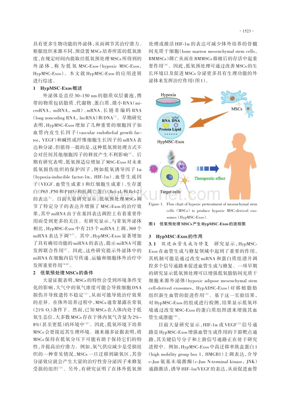 低氧预处理间充质干细胞来源外泌体的应用进展.pdf_第2页