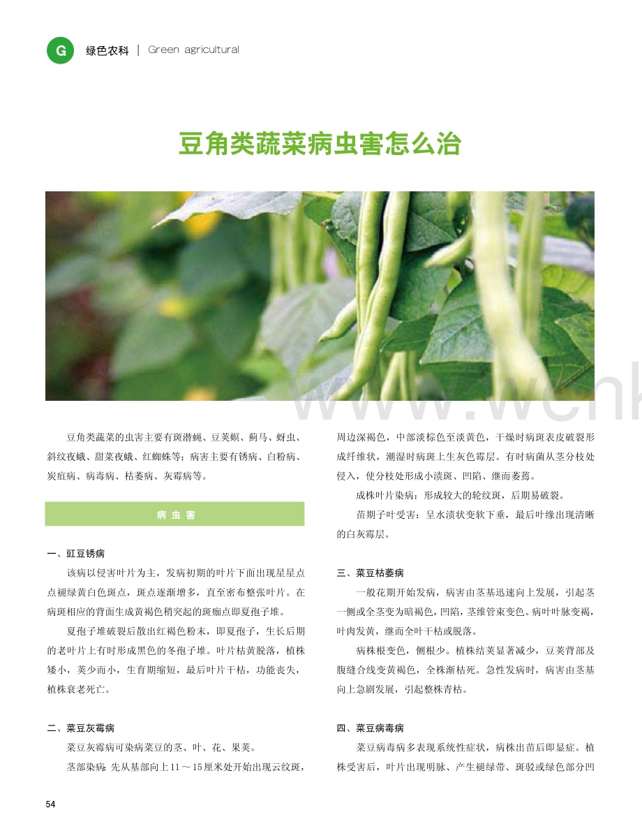 豆角类蔬菜病虫害怎么治.pdf_第1页