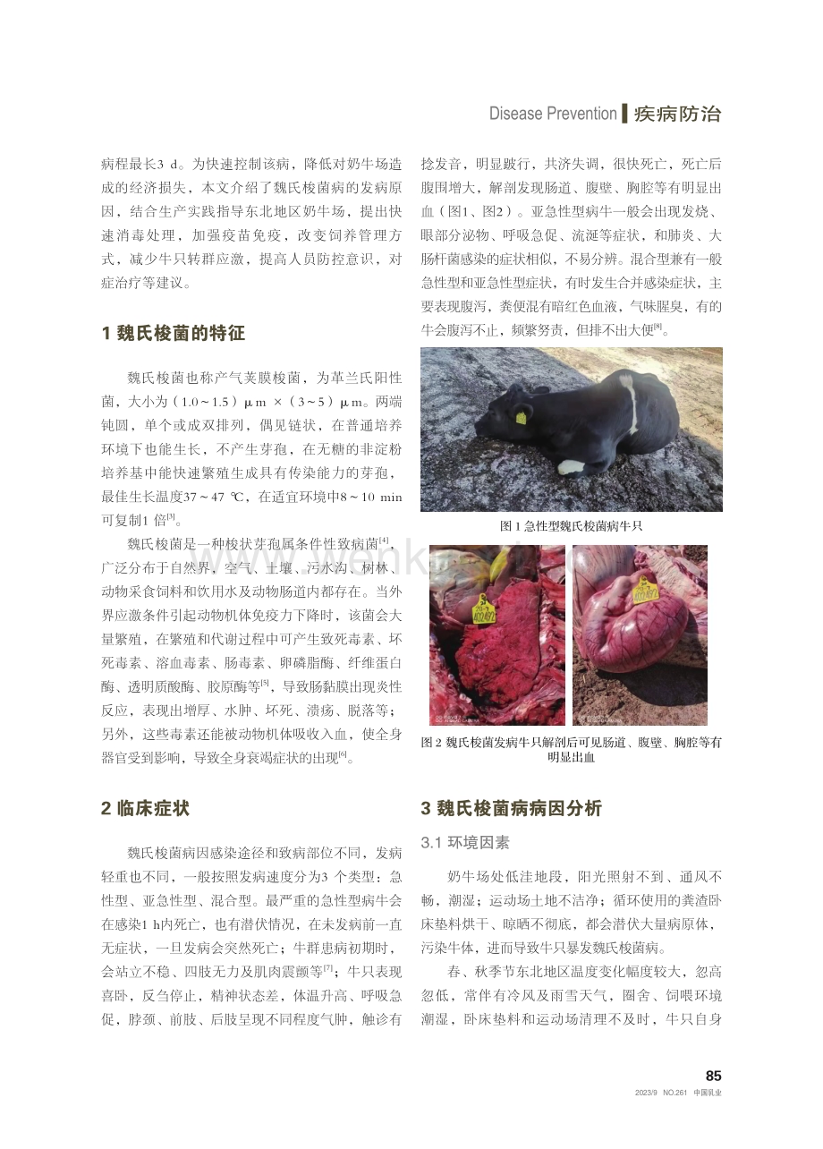 东北奶牛场魏氏梭菌病病因分析及防控措施.pdf_第2页