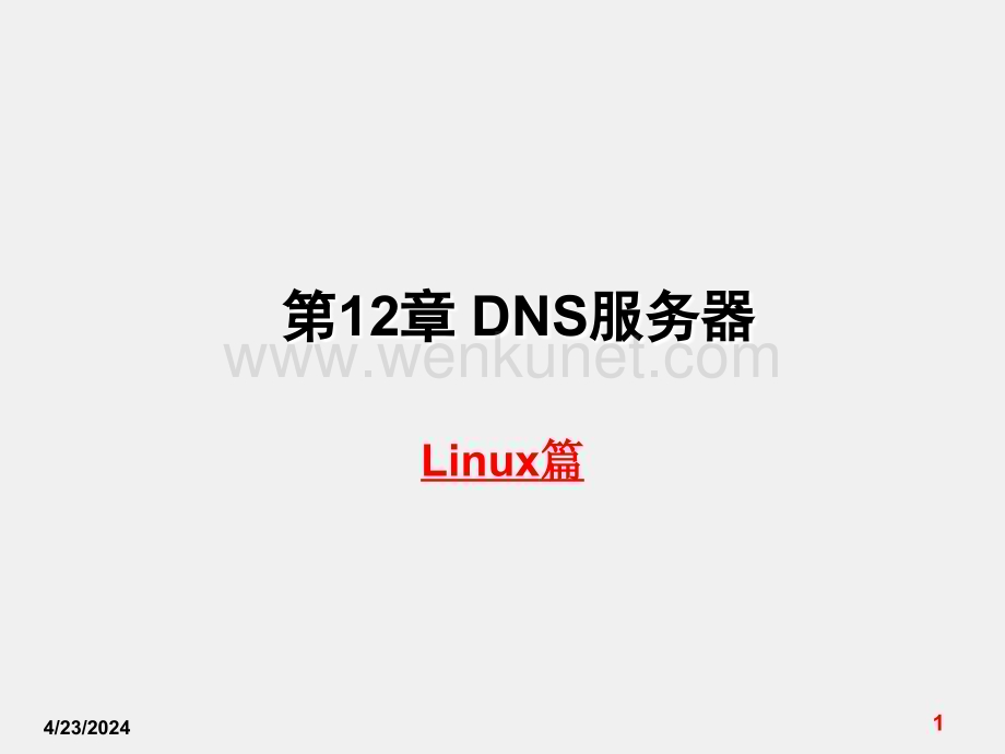《网络服务器配置与管理》课件第12章DNS服务器.ppt_第1页