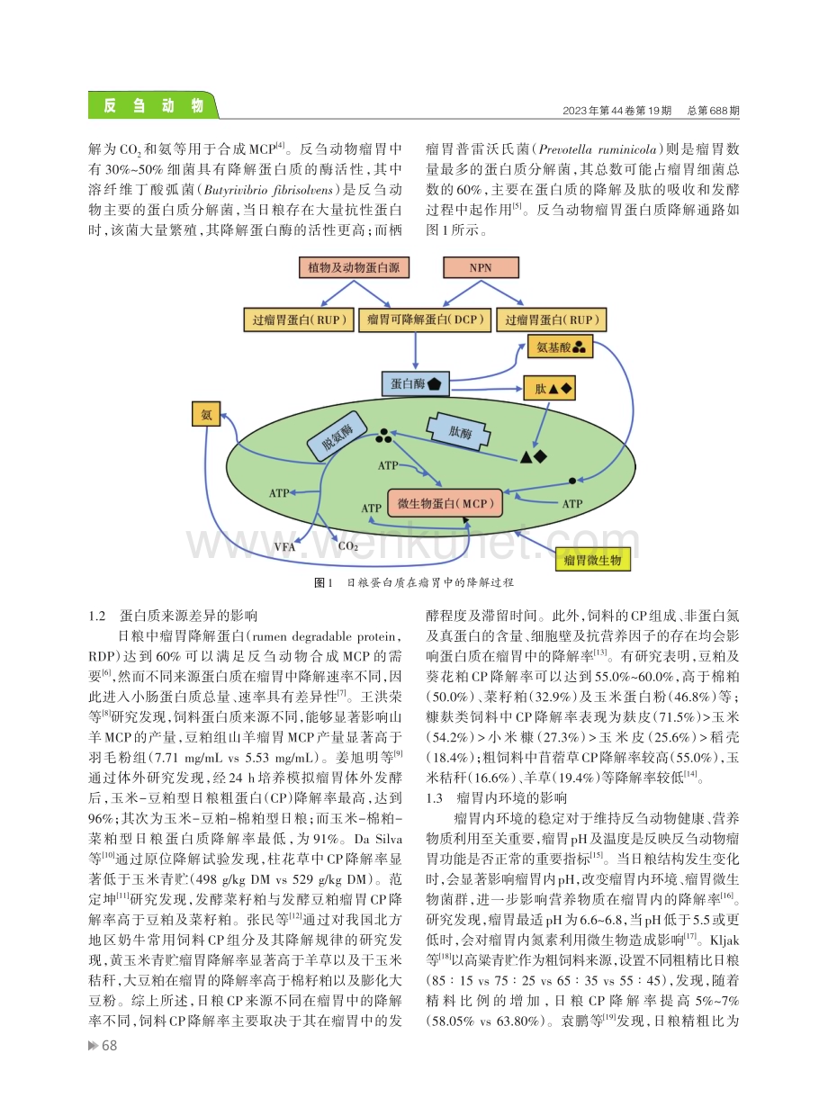 反刍动物蛋白质代谢及氨基酸营养调控机制.pdf_第2页