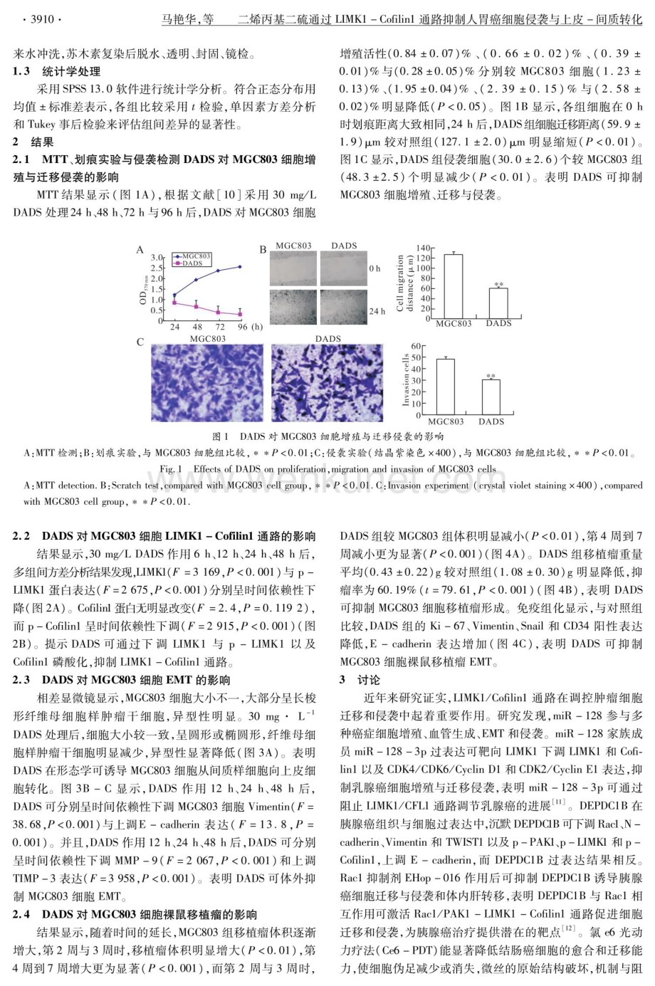 二烯丙基二硫通过LIMK1-Cofilin1通路抑制人胃癌细胞侵袭与上皮-间质转化.pdf_第3页