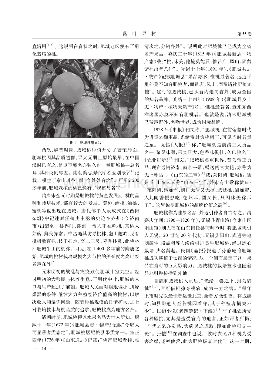 肥城桃史刍论.pdf_第2页