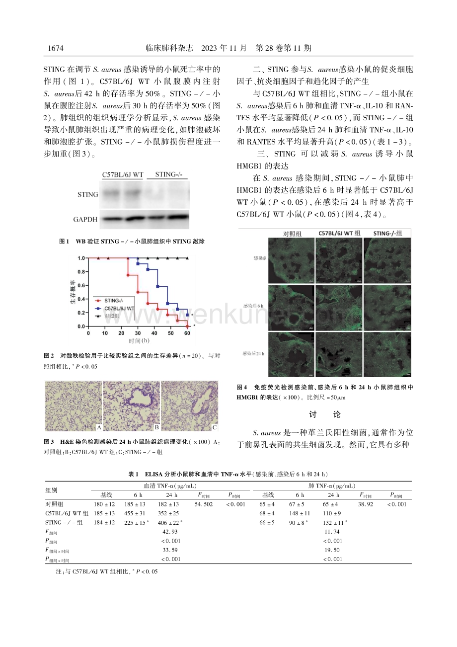 肺部感染中STING炎症信号通路的免疫作用机制研究.pdf_第3页
