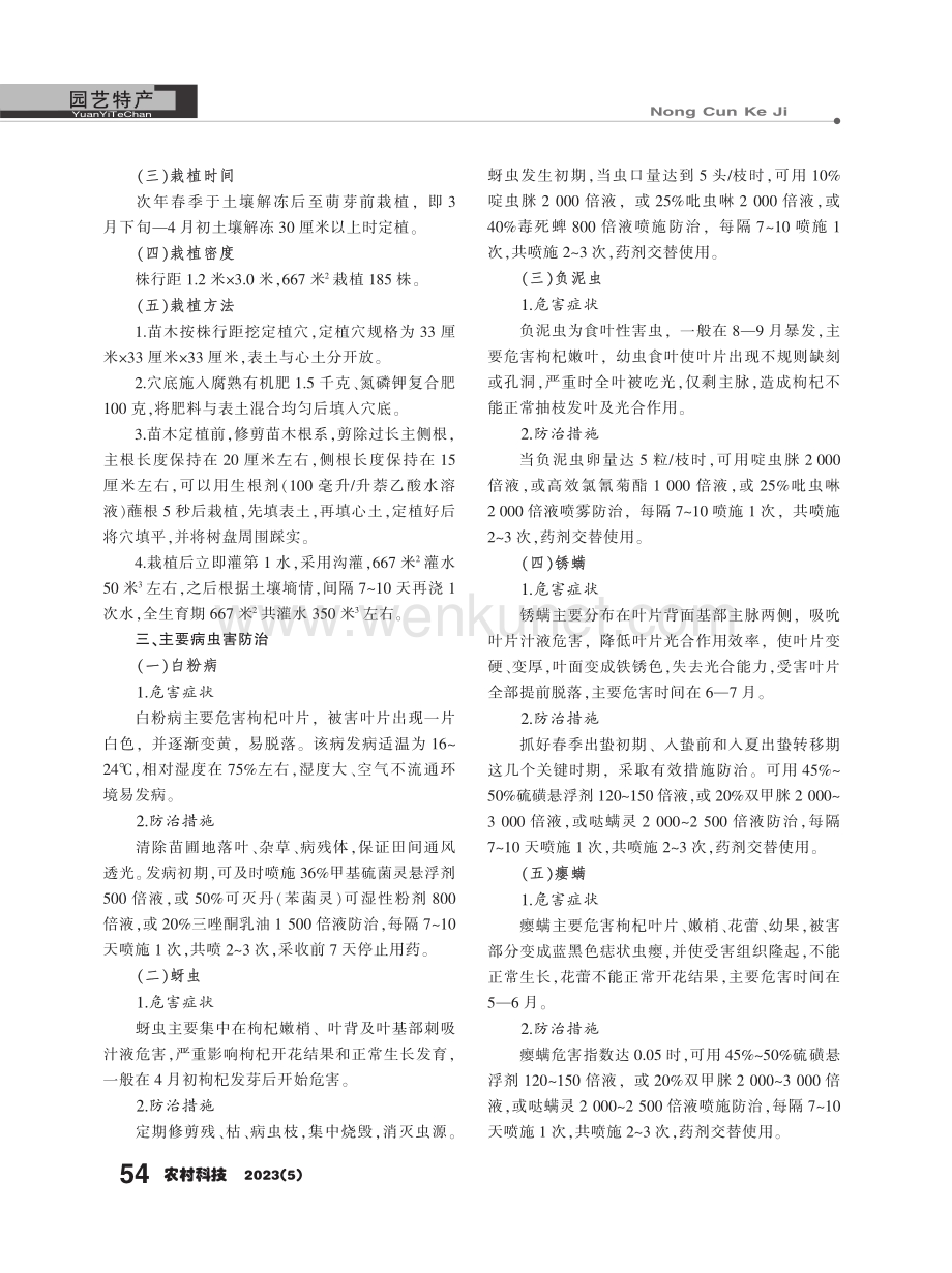 枸杞嫩枝扦插育苗及移栽技术.pdf_第3页